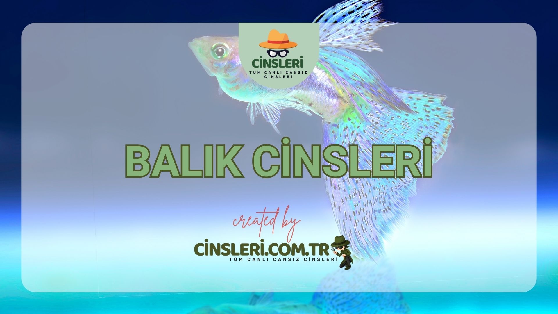 Balık Cinsleri