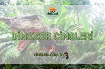 Dinozor Cinsleri