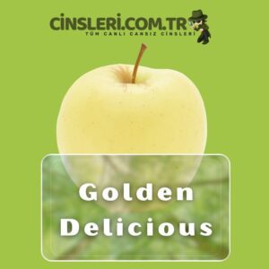 Golden Delicious