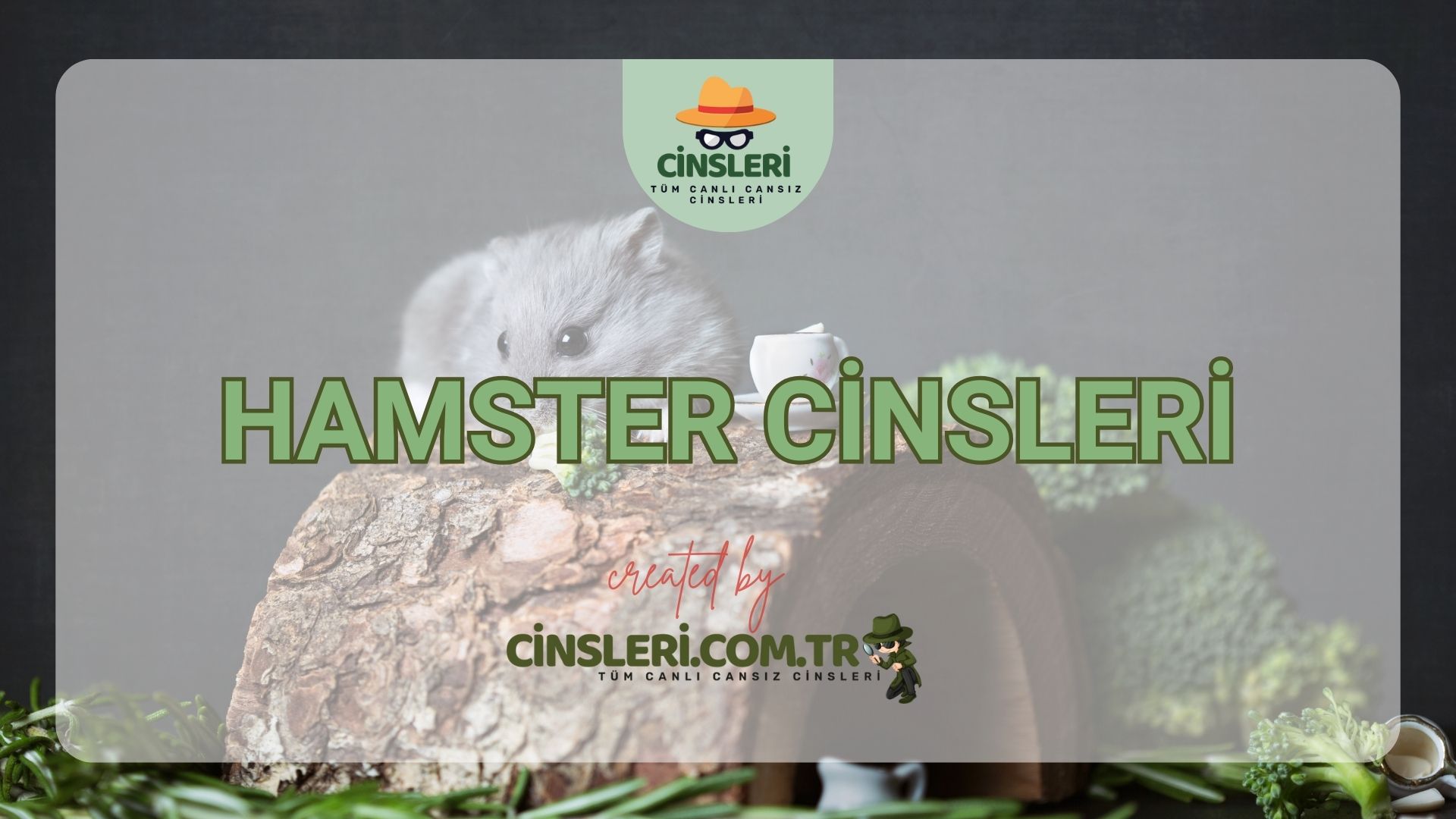 Hamster Cinsleri