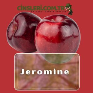 Jeromine