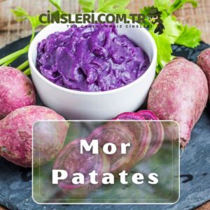 Mor Patates