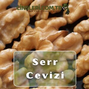 Serr Cevizi