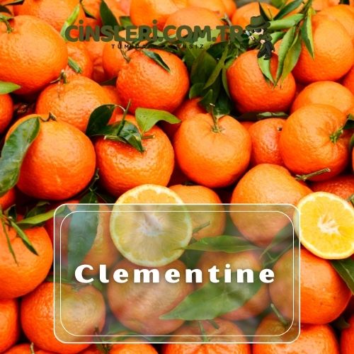 Clementine (Klementin)