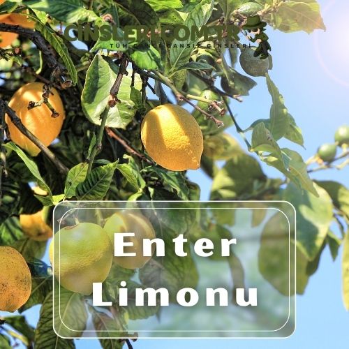 Enter Limonu