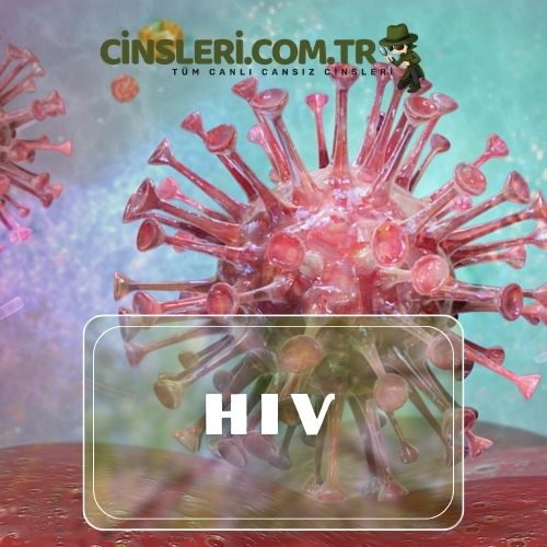 HIV (İnsan Bağışıklık Yetmezliği Virüsü)