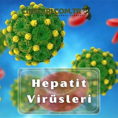 Hepatit Virüsleri