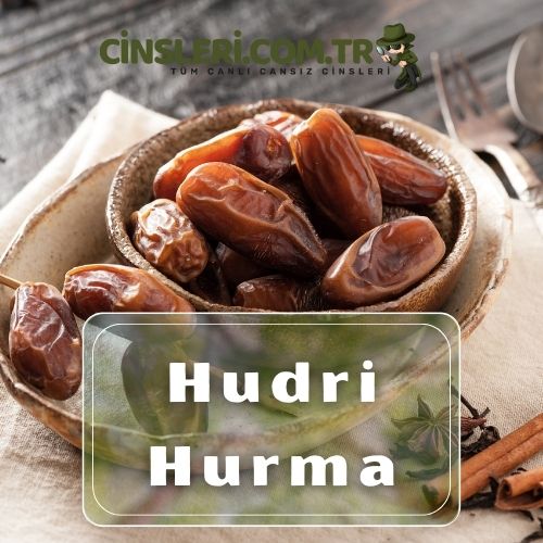 Hudri Hurma