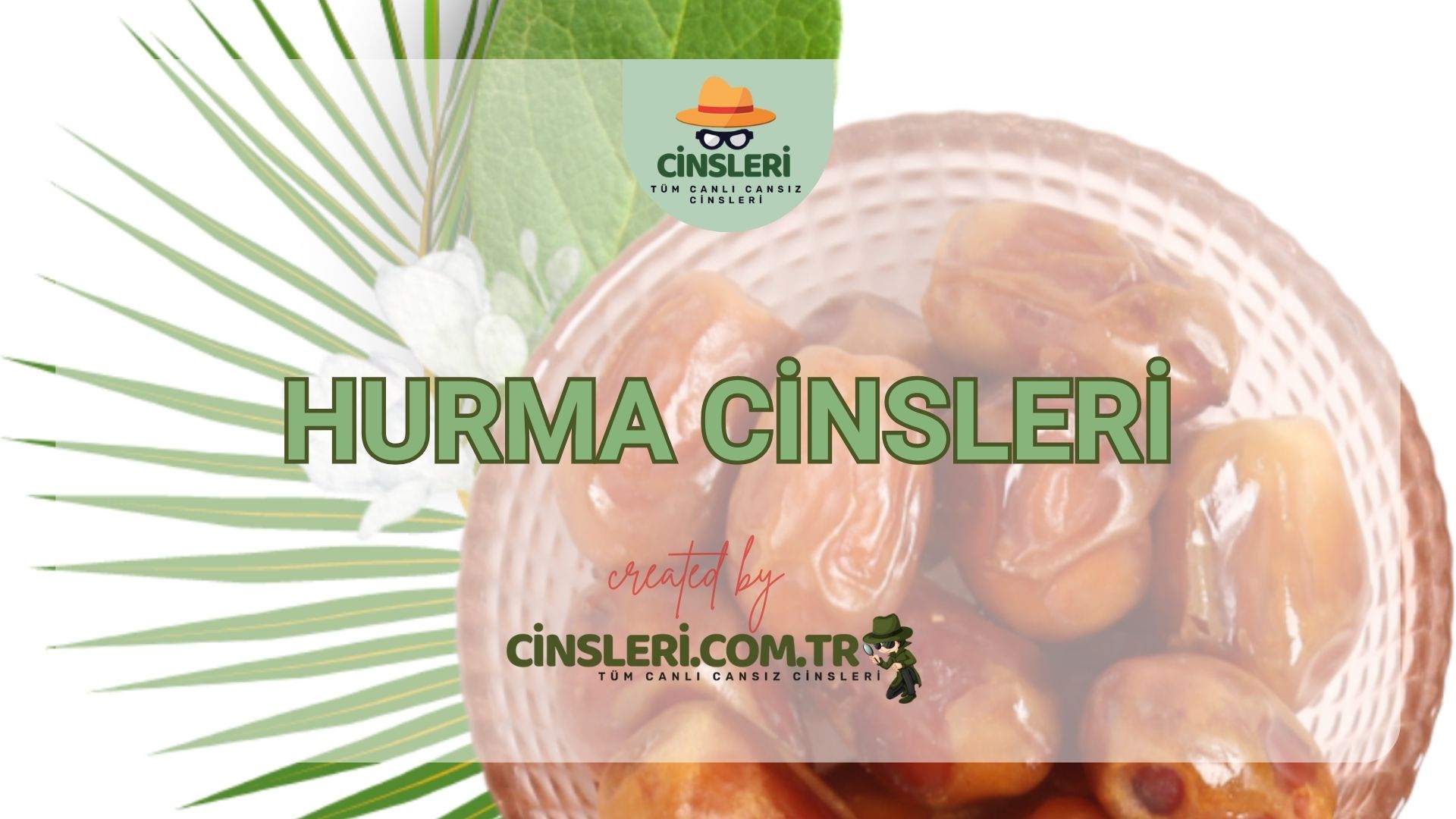 Hurma Cinsleri