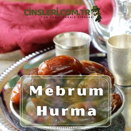 Mebrum Hurma