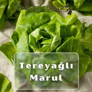 Tereyağlı Marul