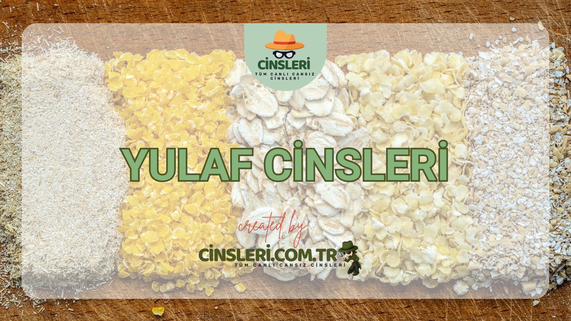 Yulaf Cinsleri