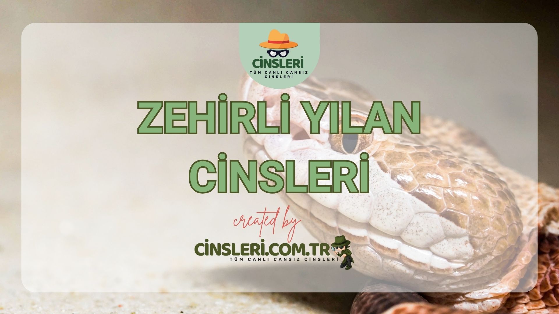 Zehirli Yılan Cinsleri