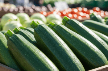 Kabak Cinsleri Yazlık ve Kışlık Kabaklar Arasındaki Farklar